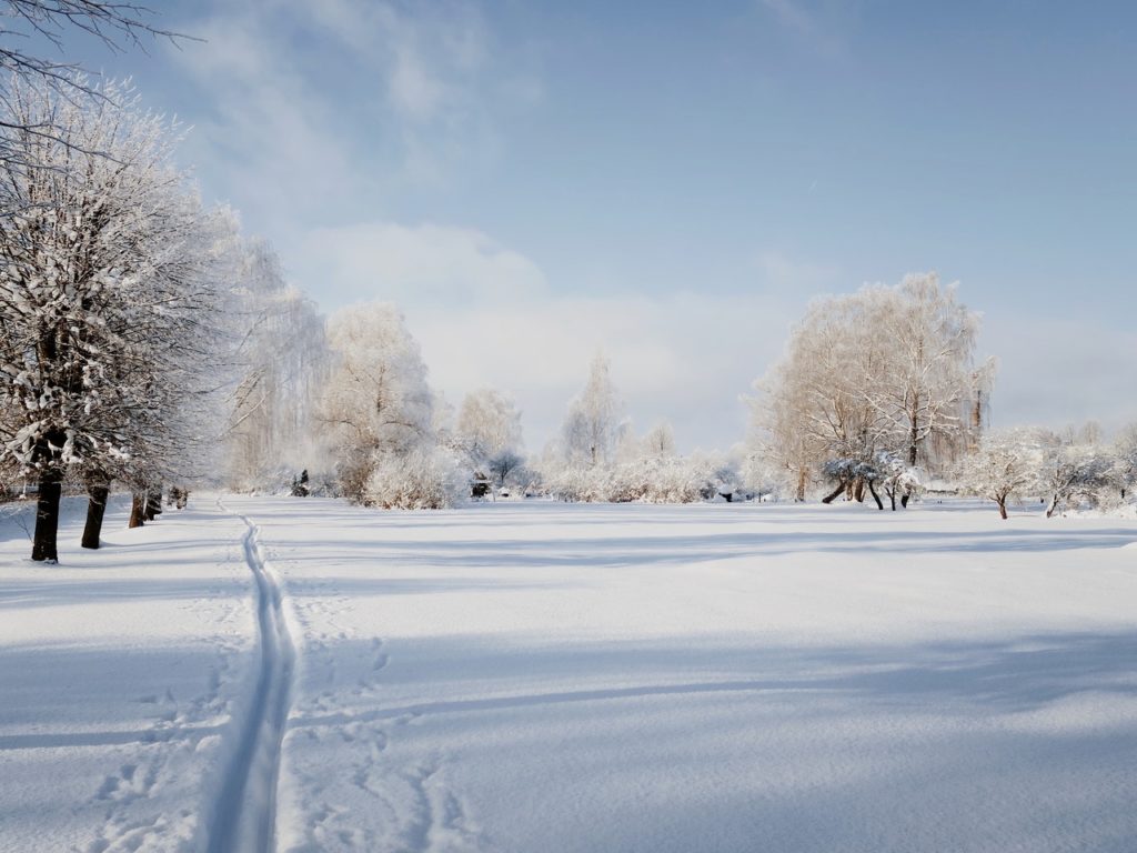 winter solstice